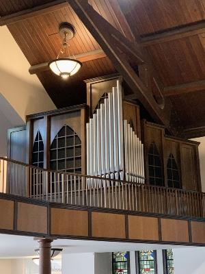 Fabry/Howell organ