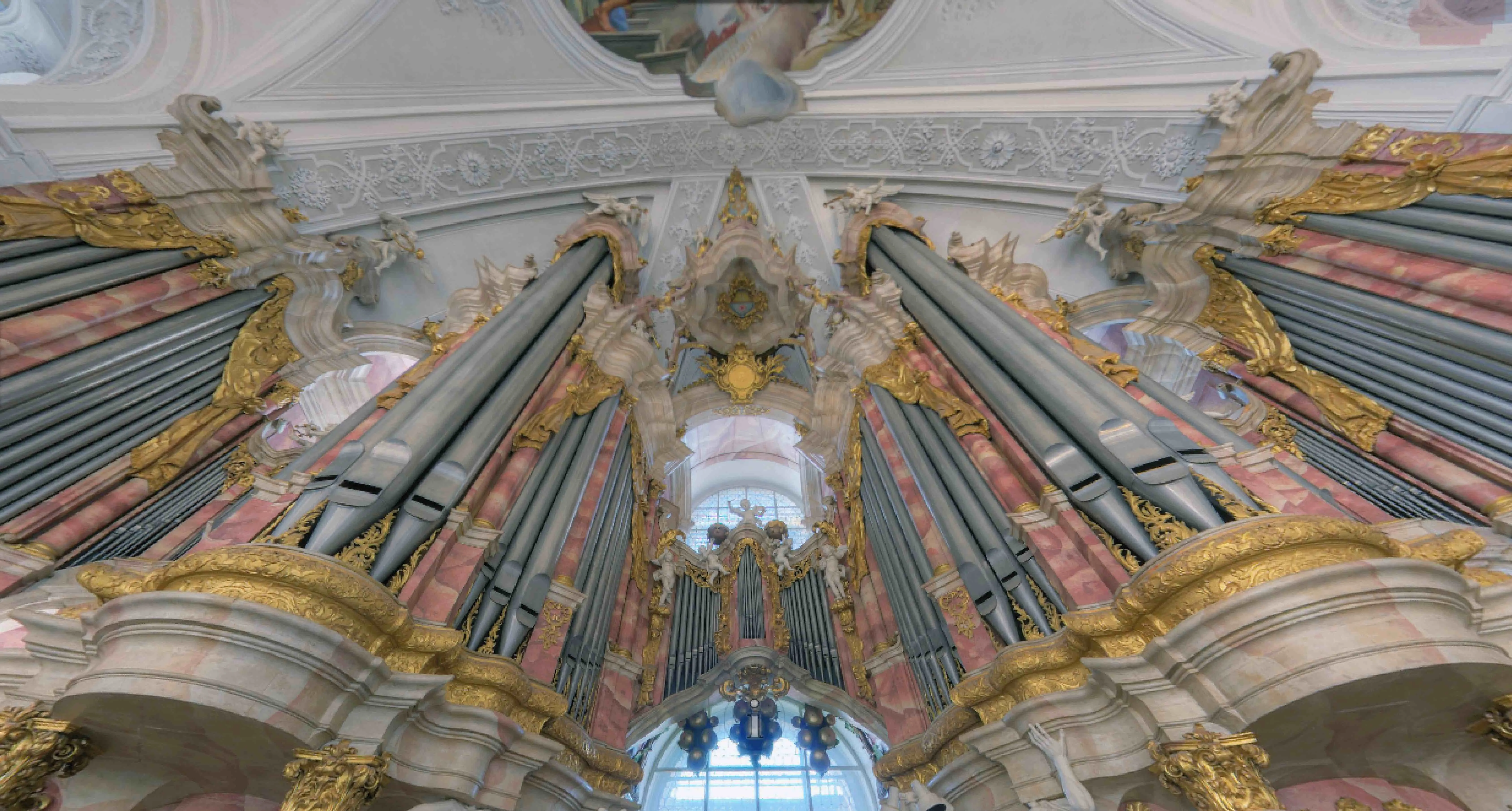 Gabler organ