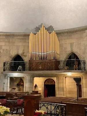 Kegg organ