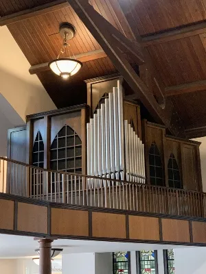 Fabry/Howell organ